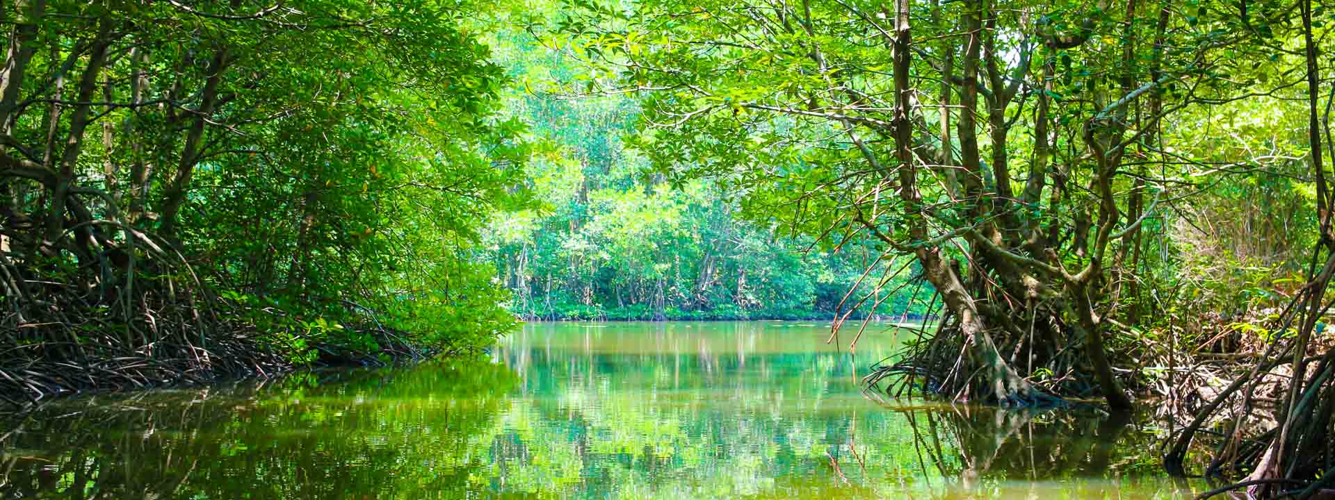 Can Gio Mangrove Biosphere Reserve